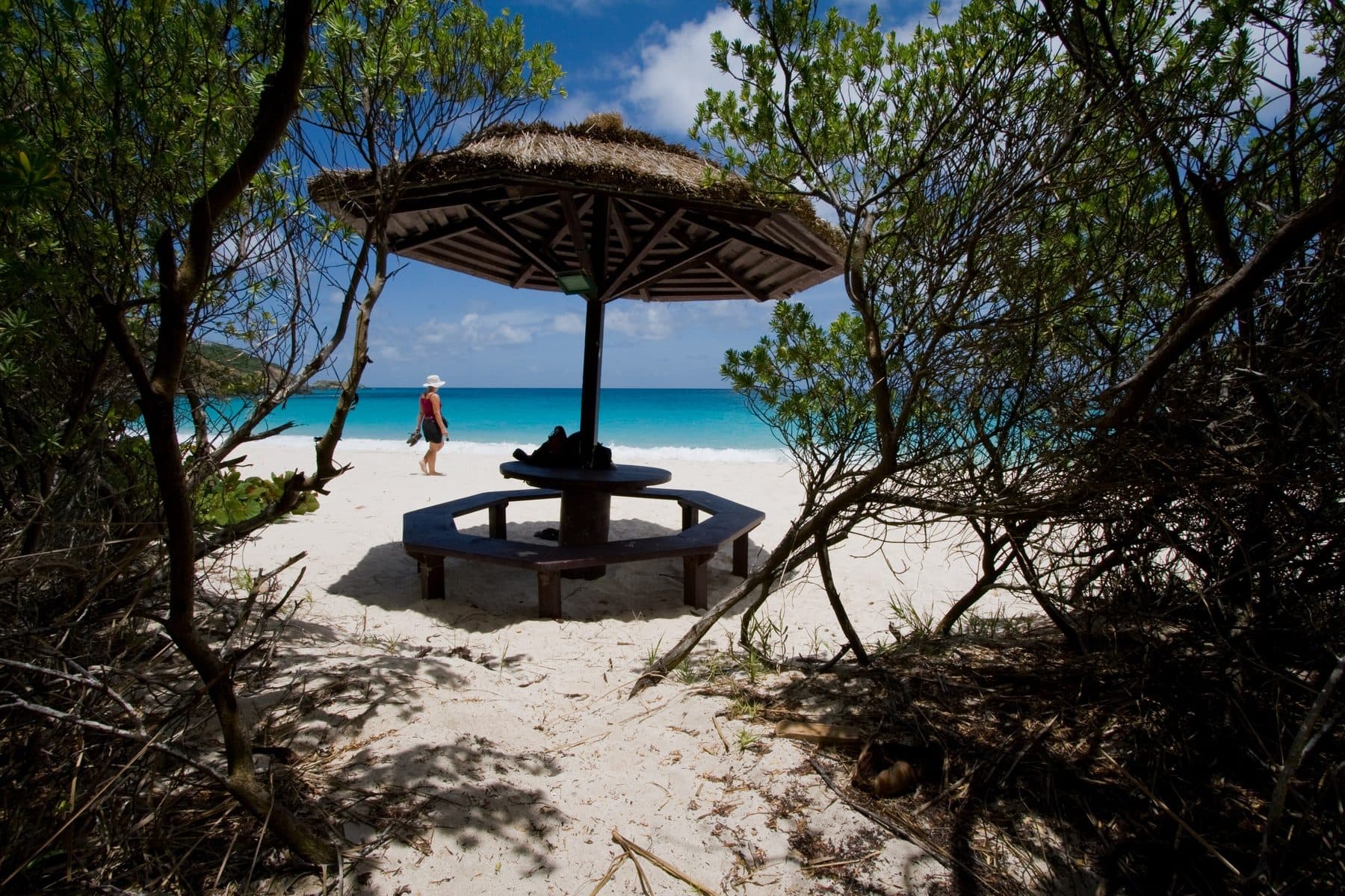 Barbuda Day Trip
