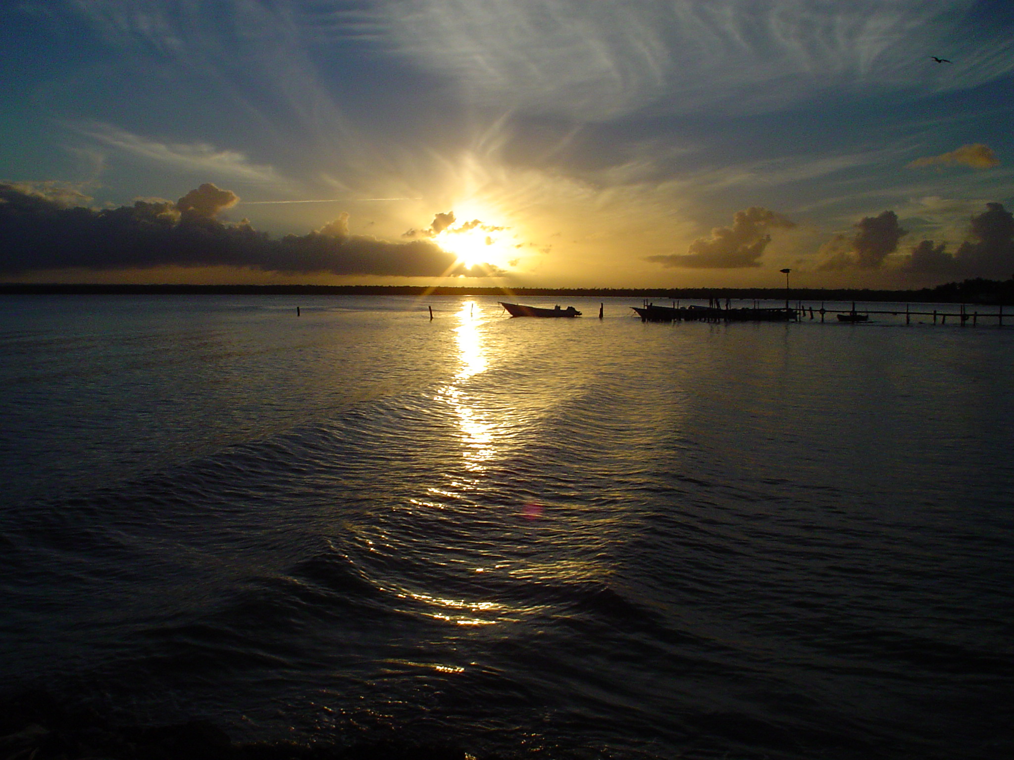 Samaná Bay Day